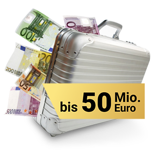 Geldkoffer - Bis zu 50 Mio. Euro
