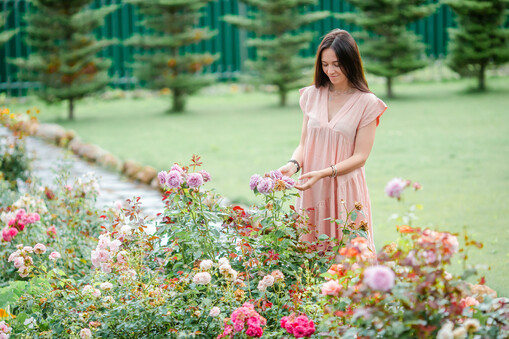 Frau berührt rosa farbene Rosen in einem Garten